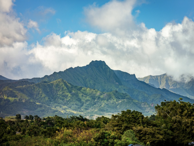 Kauai Luxury At Its Finest Walk to Beaches Six Bedrooms